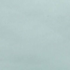 Meet your Posher, Bailey